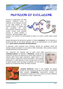 mutazioni ed evoluzione