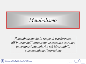 Metabolismo (20 ottobre)