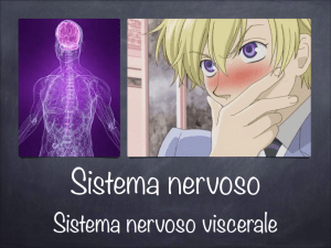 sistema nervoso autonomo