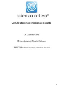 Cellule Staminali embrionali e adulte