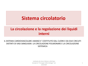 Sistema circolatorio