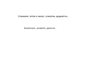 Cromosomi, mitosi e meiosi, cromatina, epigenetica….