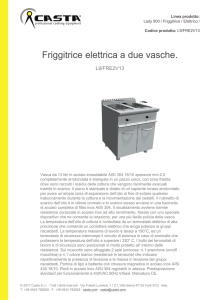 Casta | L9/FRE2V13 | Friggitrice elettrica a due vasche.