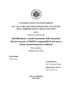 Identificazione e analisi funzionale delle mutazioni rilevate nel gene