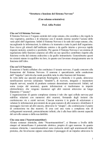 La comunicazione in psicologia gli assiomi secondo watzlawick