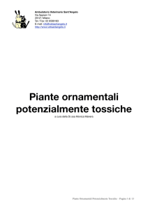 piante tossiche - Clinica Veterinaria Sant\`Angelo di Milano