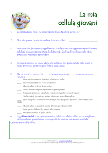 L`importanza del gruppo giovani