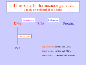 Il flusso dell`informazione genetica