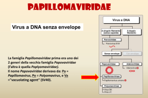 Diapositiva 1