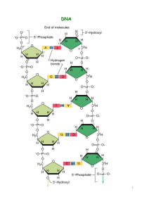 DNA