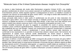 Diapositiva 1 - Progetto Modo