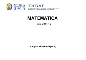 Algebra lineare (III parte): minore di una matrice, rango