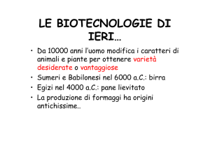 LE BIOTECNOLOGIE DI IERI…