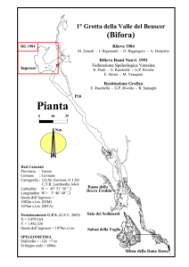 Pianta - Gruppo Grotte Gallarate