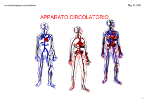 Appcircesempli