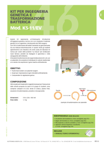 k5-11/ev - kit per ingegneria genetica e trasformazione batterica