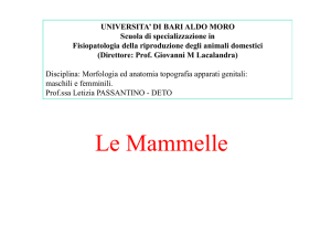 Le Mammelle - index - Scuola di Specializzazione in Fisiopatologia
