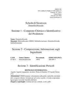 Scheda di Sicurezza Sezione 1 - Composto Chimico e Identificativo