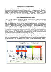 Il sole ed il suo effetto sull`organismo