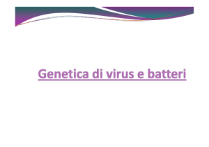 Lezione8_Genetica di virus e batteri