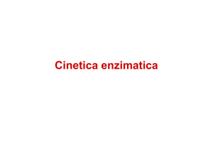 11-Enzimi 2 - Cinetica enzimatica