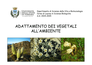 Lez. 1 Adattamento dei vegetali all`ambiente AA 2014-2015