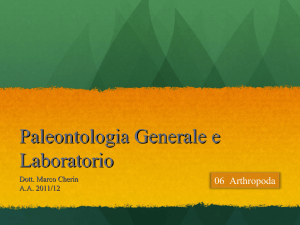 Lab06.Arthropoda - Università degli Studi di Perugia
