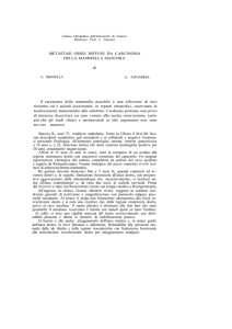 Acta n.9-1963 articolo 22
