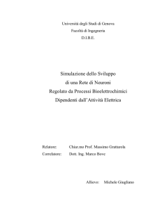 Simulazione dello Sviluppo di una Rete di Neuroni Regolato da