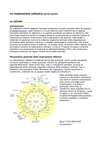 Lezione in PDF