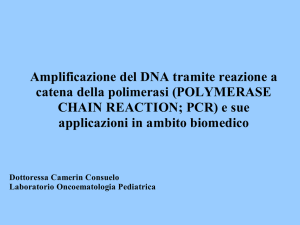 Amplificazione del DNA tramite reazione a catena della polimerasi