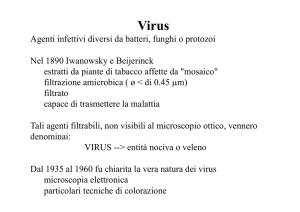 Virus - Docenti.unina