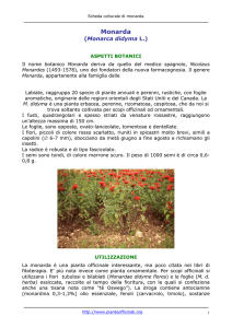 Monarda - Pianteofficinali.org