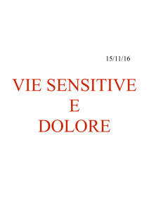 Vie sensitive e dolore - Collegio Alessandro Volta