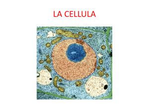 LA CELLULA 2016