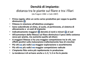 Densità di impianto: distanza tra le piante sul filare e tra i filari