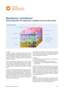 Scheda informativa: Basalioma, spinalioma
