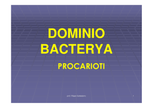Domino Archaea e Bacterya