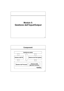 Gestione dell`Input/Output