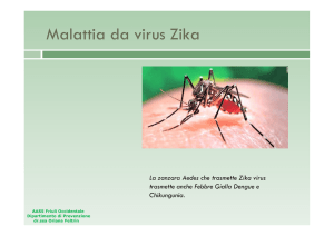 Malattie da virus Zika - Comune di Spilimbergo