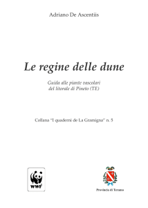 Le regine delle dune