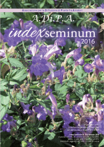 seminum 2016