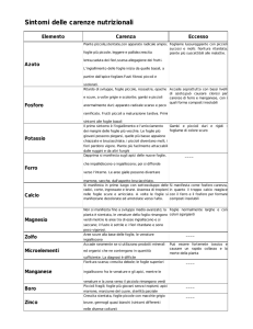 Sintomi da carenze nutrizionali