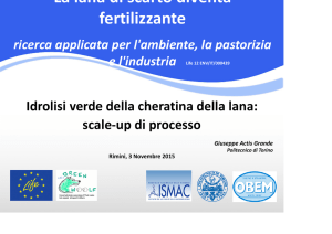 2_Presentazione GreenWoolF Polito Rimini