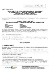 Asst MN - Informagiovani Cremona