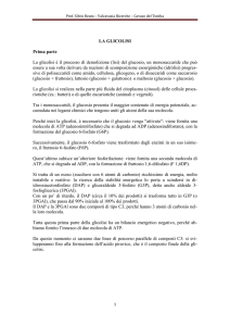 LA GLICOLISI Prima parte La glicolisi è il processo di