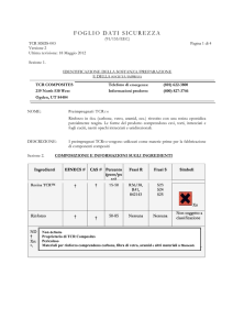 TCR MSDS-003 TCR Prepregs - EEC format