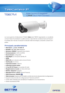Telecamere IP - Spia Security