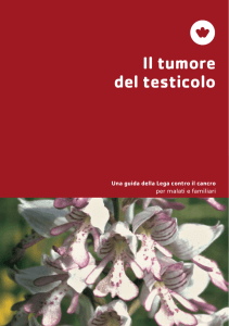 Il tumore del testicolo