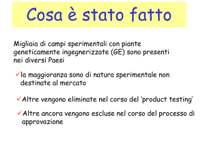 Presentazione di PowerPoint